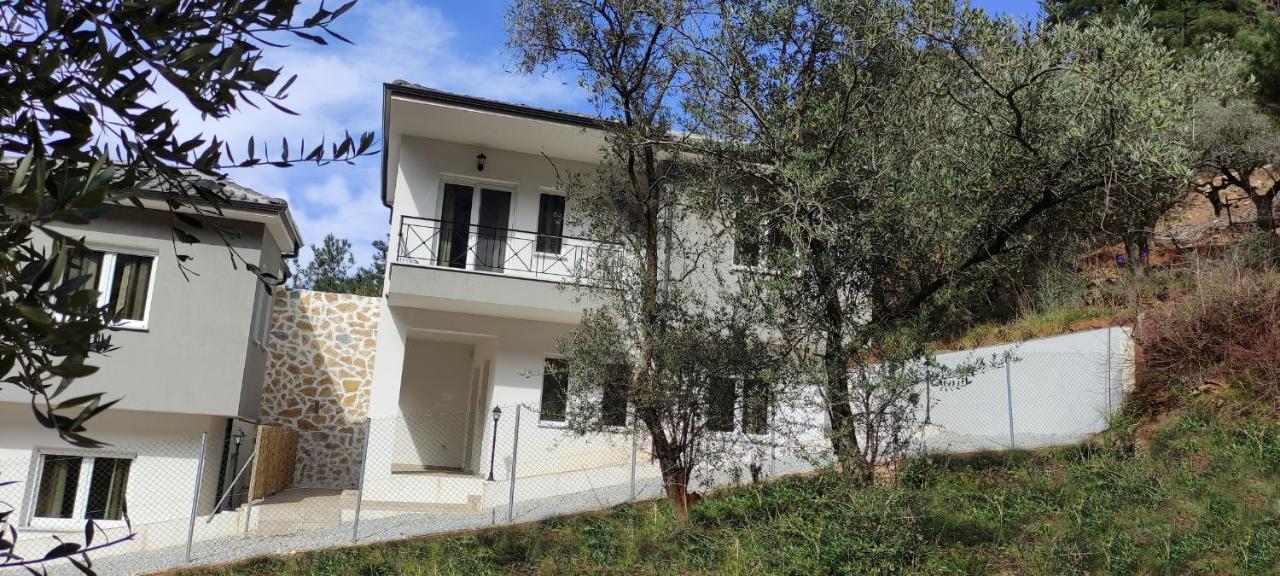 Evergreen Thassos Skala Potamia  Exterior photo