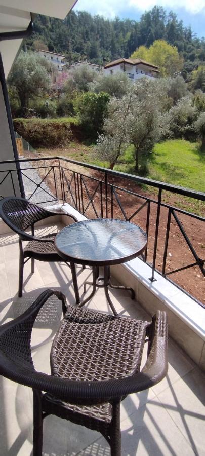 Evergreen Thassos Skala Potamia  Exterior photo