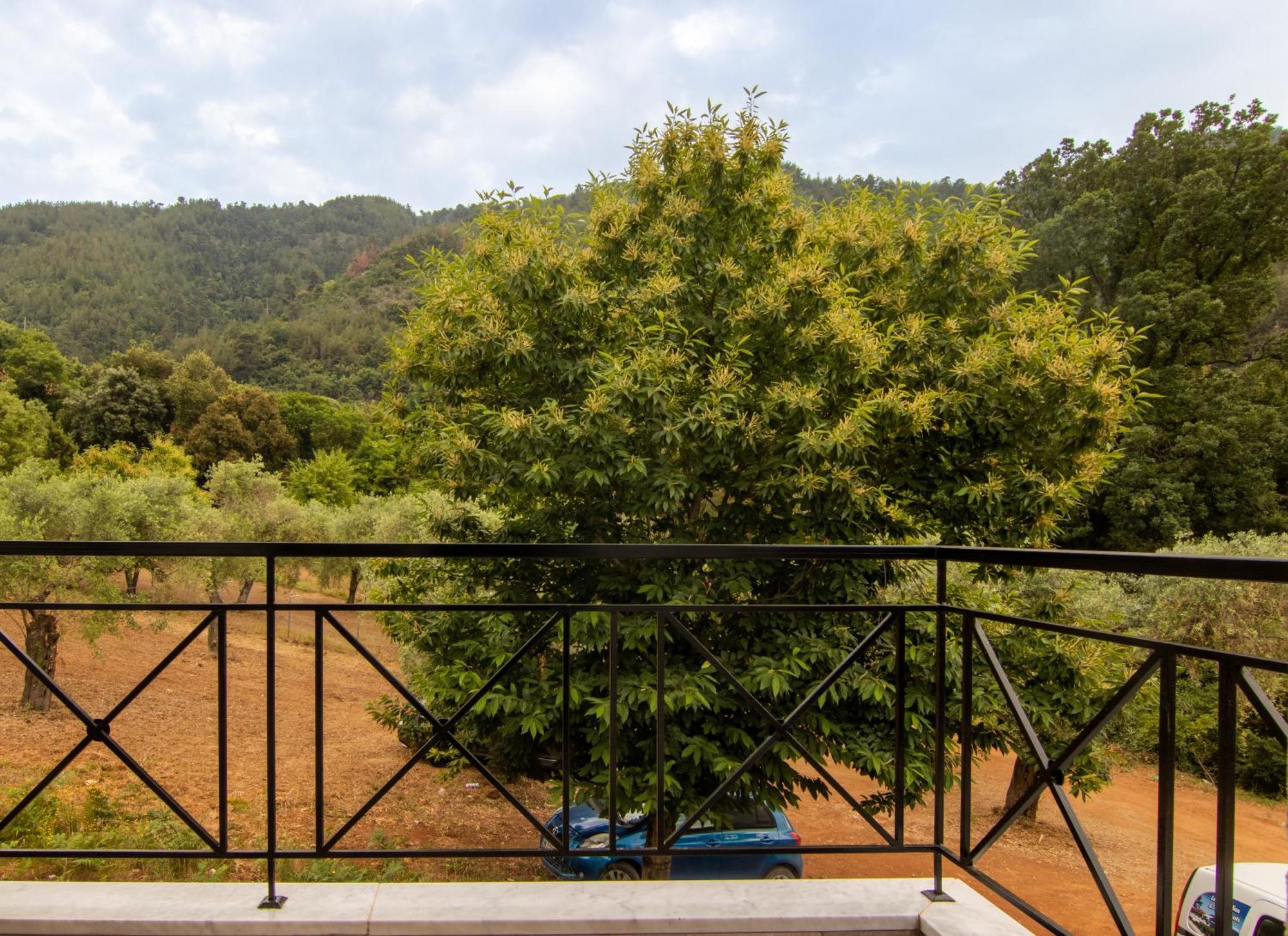 Evergreen Thassos Skala Potamia  Exterior photo